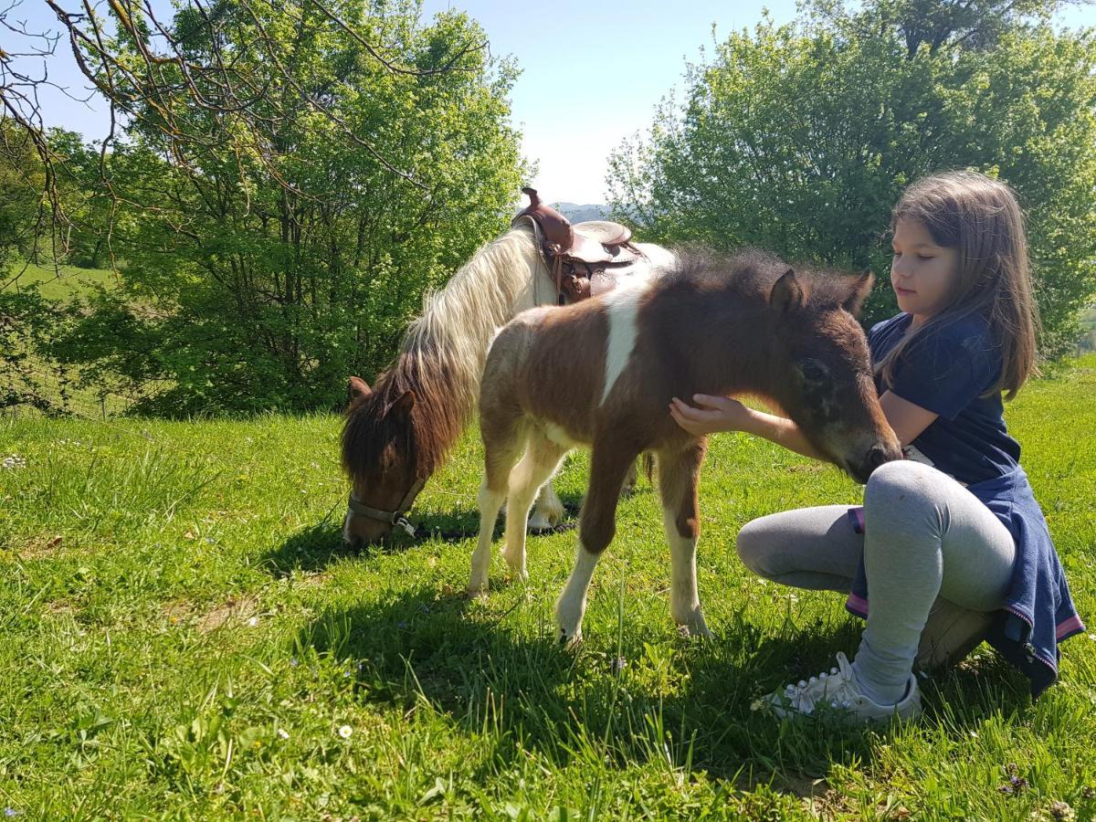 Pension Vuglec Breg Krapina Esterno foto
