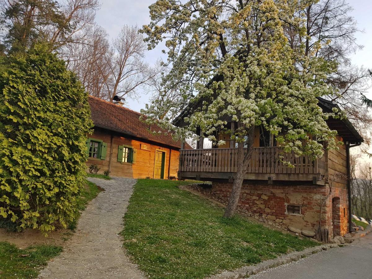 Pension Vuglec Breg Krapina Esterno foto
